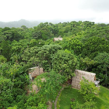 Tiny Houses Unique Tayrona - Dentro Del Parque Tayrona 엘 자이노 외부 사진
