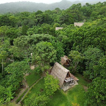 Tiny Houses Unique Tayrona - Dentro Del Parque Tayrona 엘 자이노 외부 사진