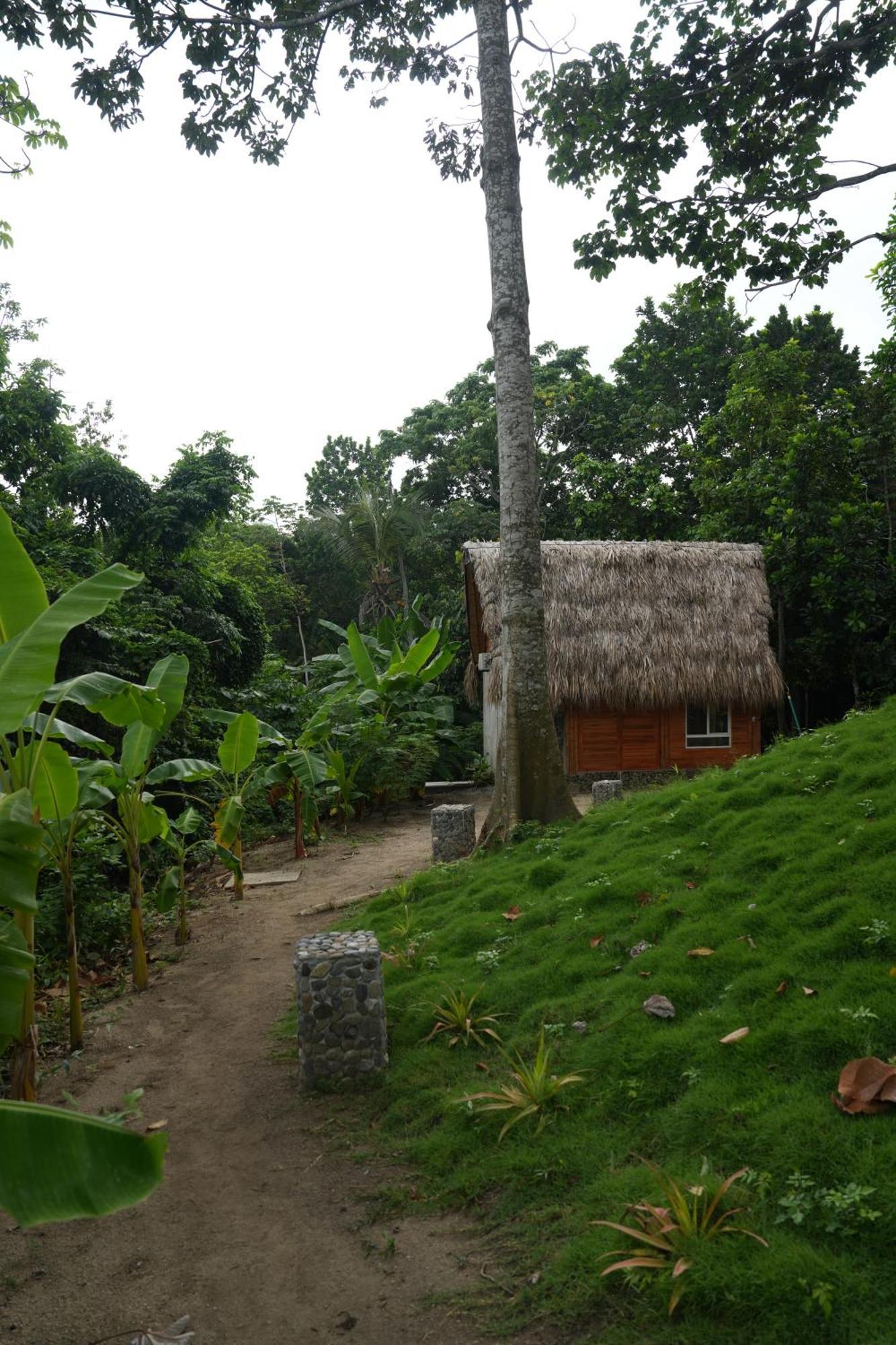 Tiny Houses Unique Tayrona - Dentro Del Parque Tayrona 엘 자이노 외부 사진