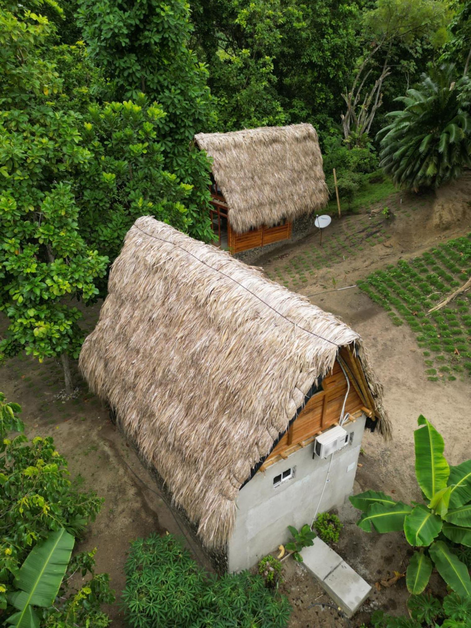 Tiny Houses Unique Tayrona - Dentro Del Parque Tayrona 엘 자이노 외부 사진