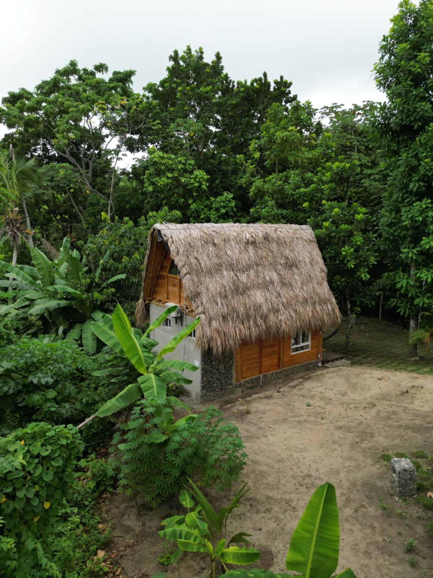 Tiny Houses Unique Tayrona - Dentro Del Parque Tayrona 엘 자이노 외부 사진