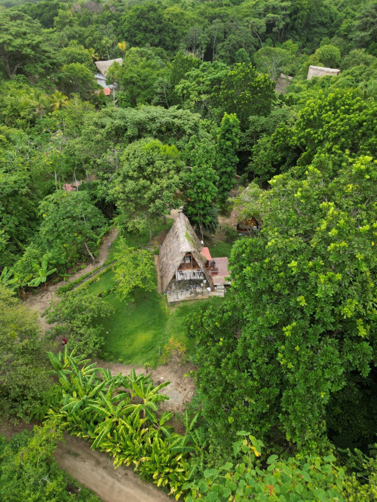 Tiny Houses Unique Tayrona - Dentro Del Parque Tayrona 엘 자이노 외부 사진