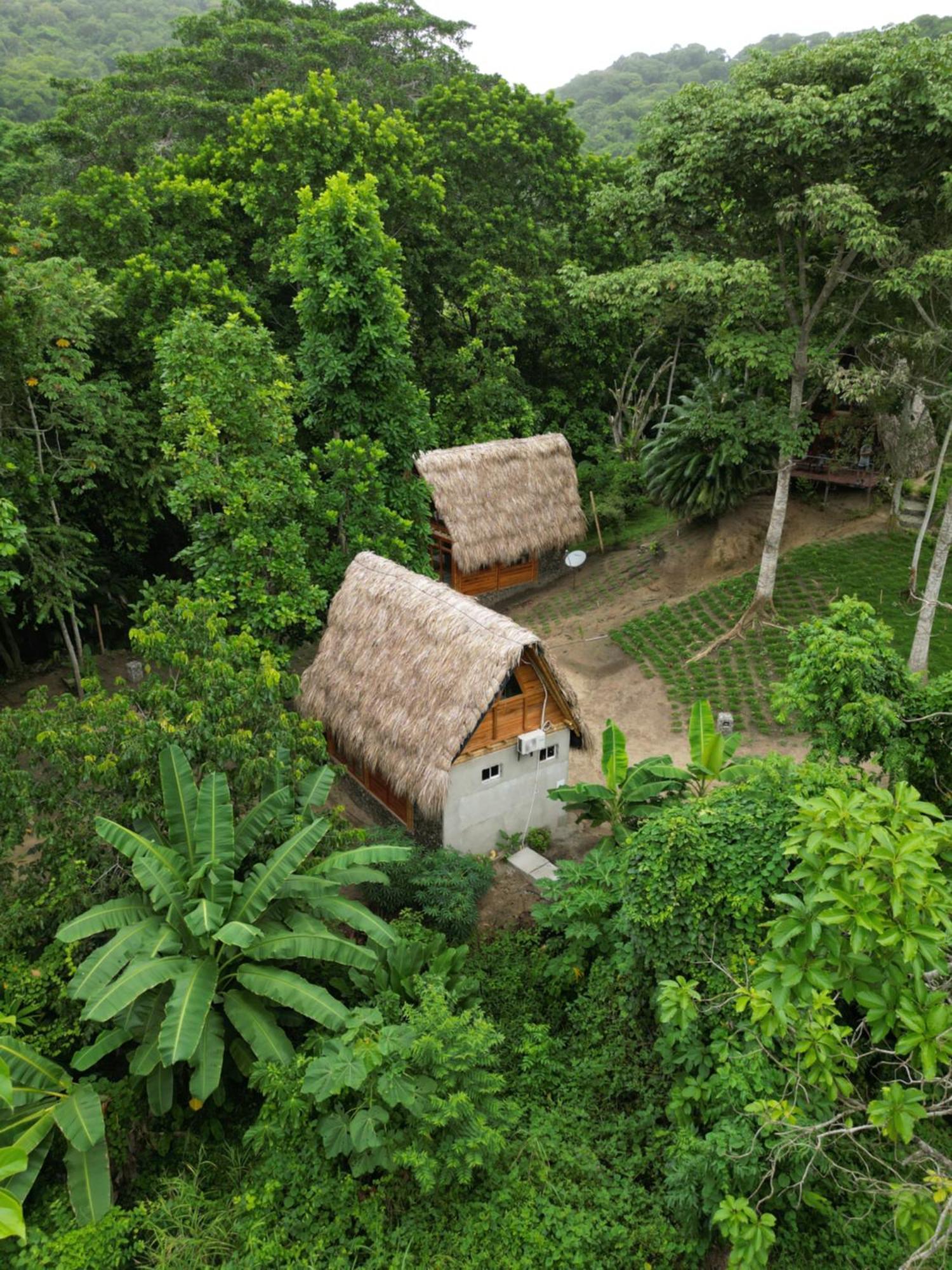 Tiny Houses Unique Tayrona - Dentro Del Parque Tayrona 엘 자이노 외부 사진
