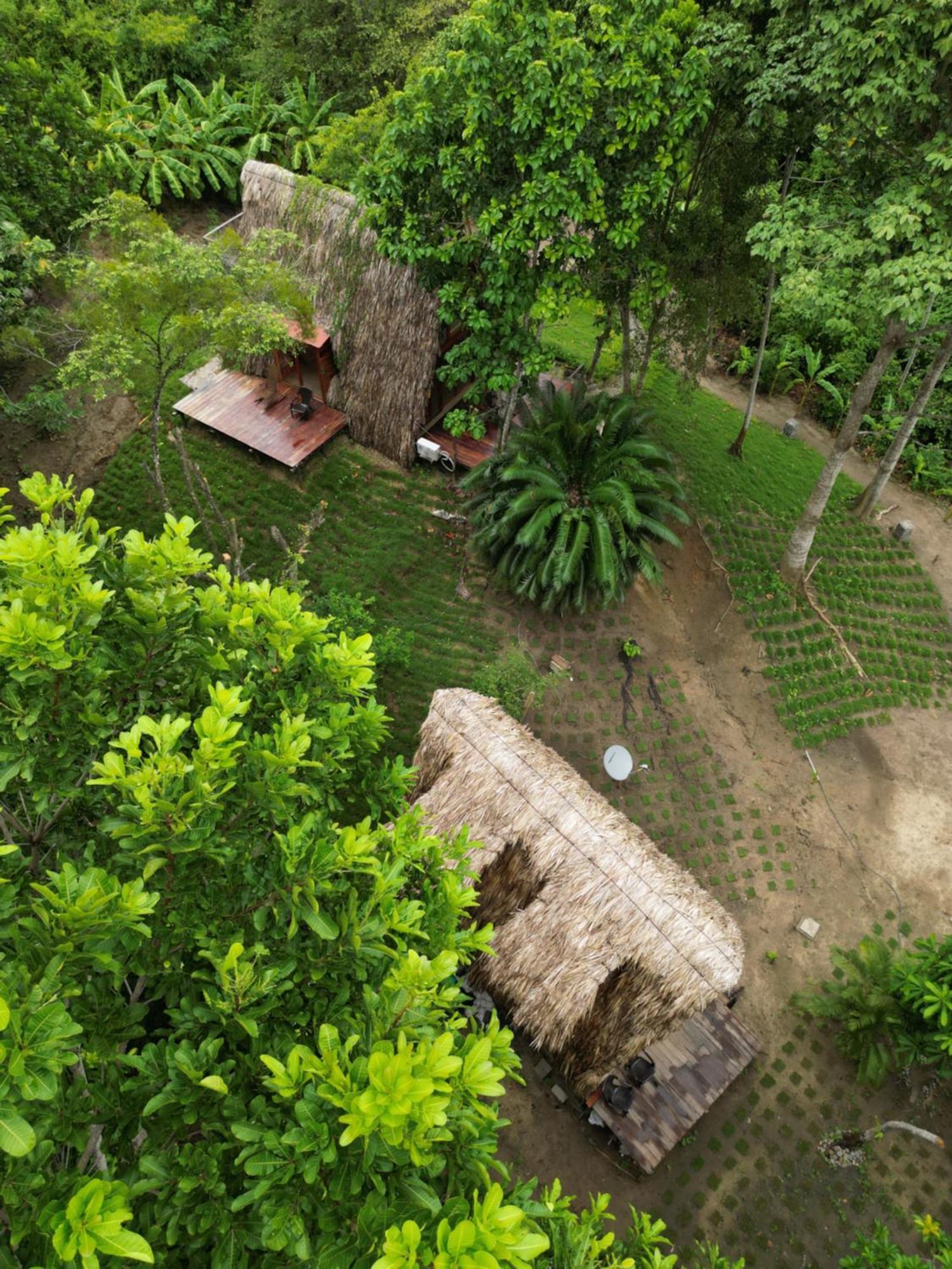 Tiny Houses Unique Tayrona - Dentro Del Parque Tayrona 엘 자이노 외부 사진