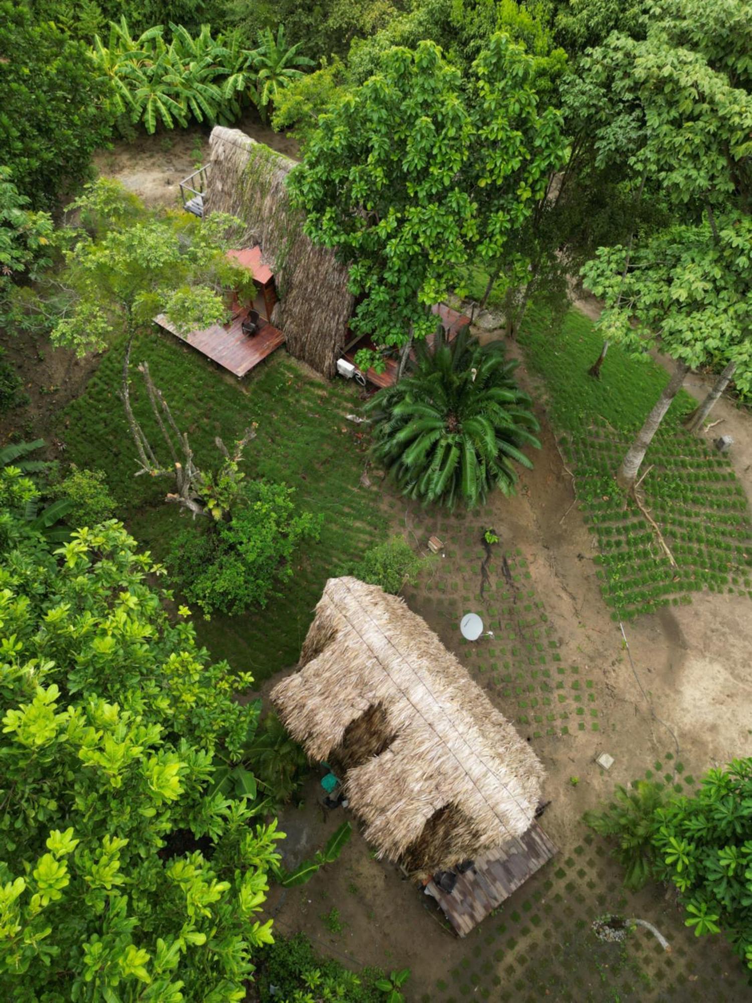 Tiny Houses Unique Tayrona - Dentro Del Parque Tayrona 엘 자이노 외부 사진