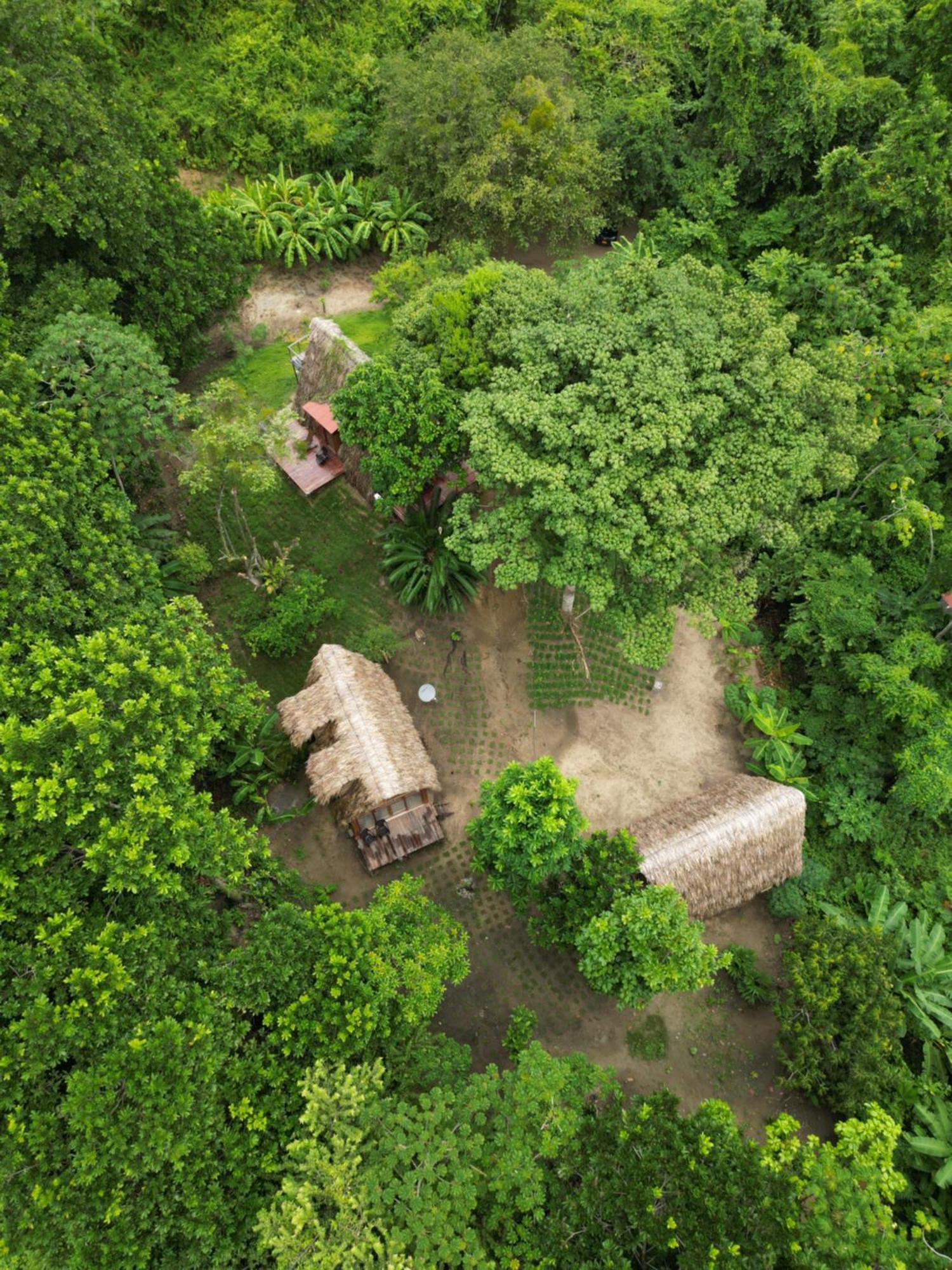 Tiny Houses Unique Tayrona - Dentro Del Parque Tayrona 엘 자이노 외부 사진