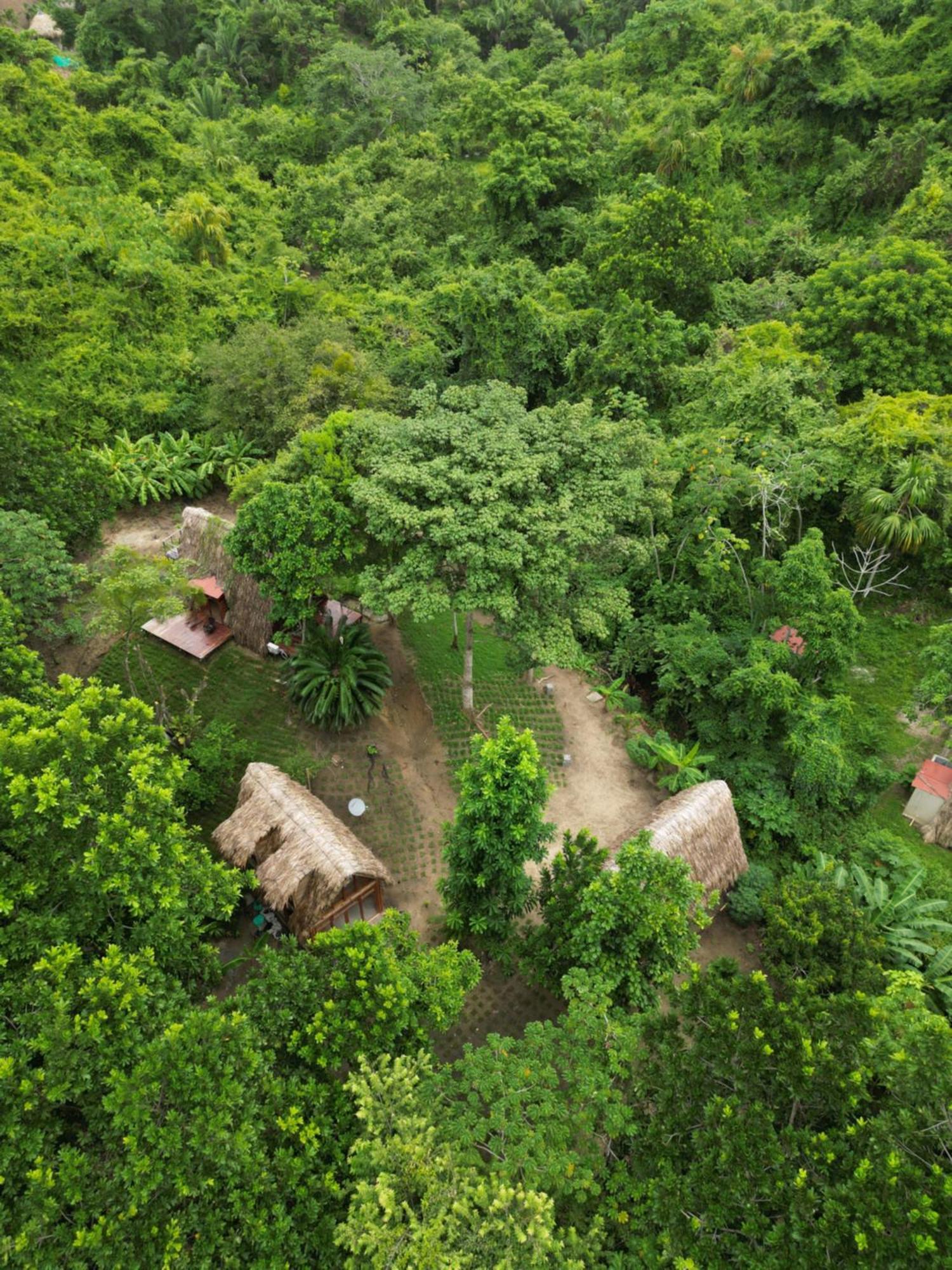 Tiny Houses Unique Tayrona - Dentro Del Parque Tayrona 엘 자이노 외부 사진