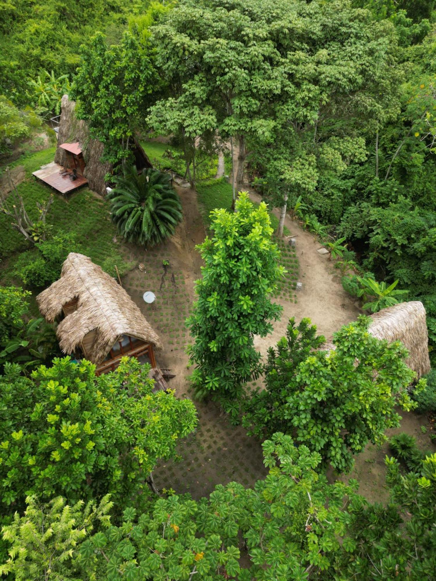Tiny Houses Unique Tayrona - Dentro Del Parque Tayrona 엘 자이노 외부 사진