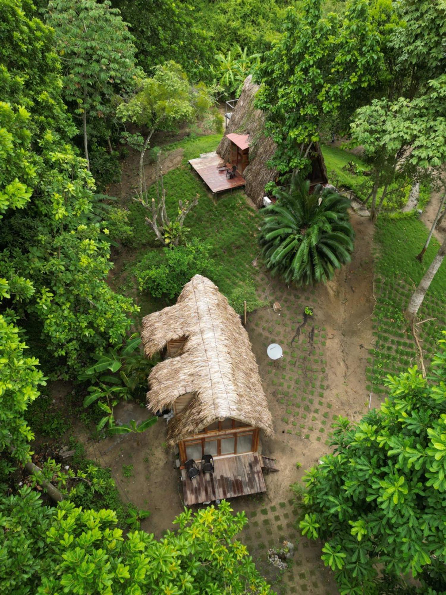 Tiny Houses Unique Tayrona - Dentro Del Parque Tayrona 엘 자이노 외부 사진