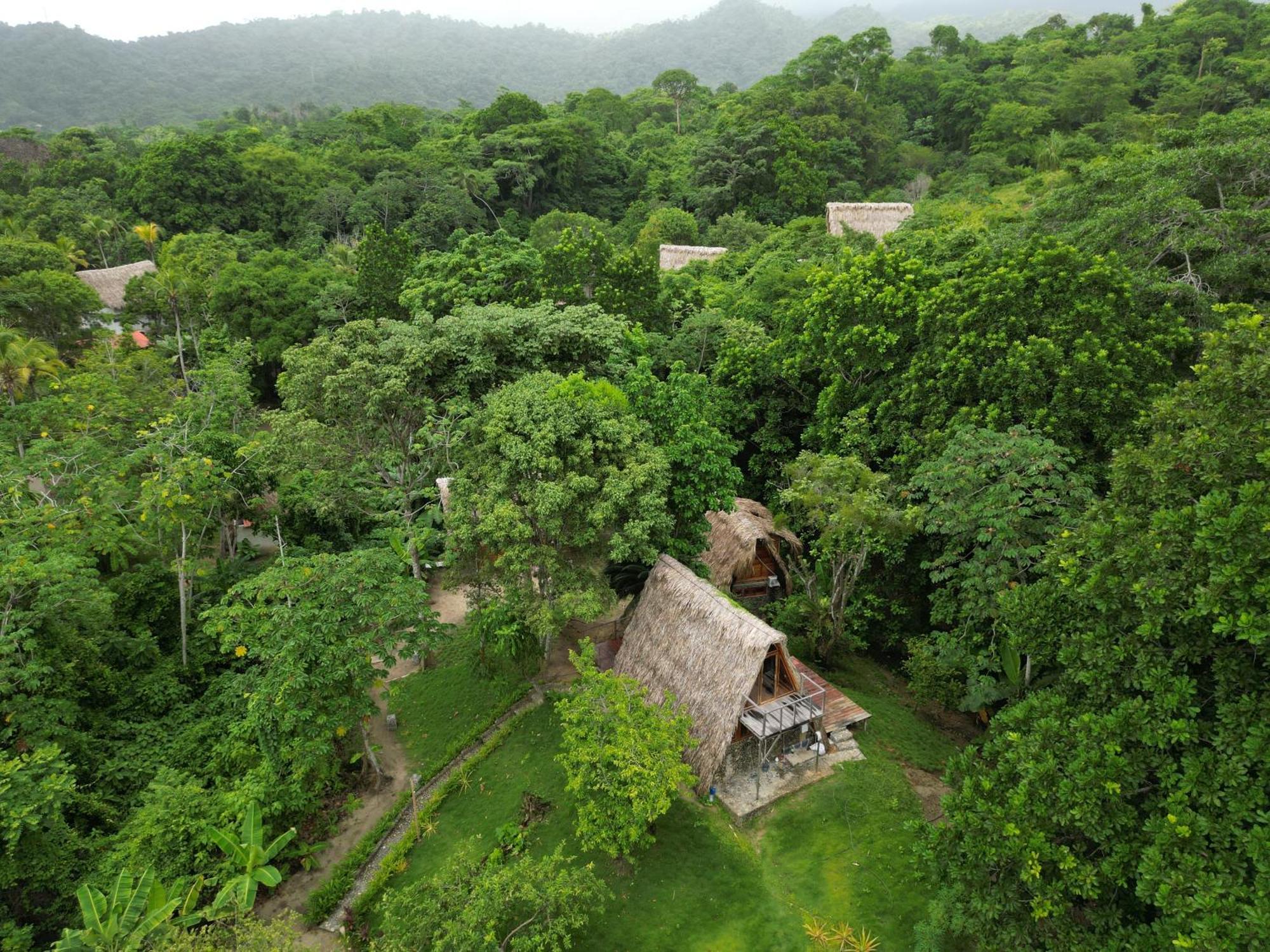 Tiny Houses Unique Tayrona - Dentro Del Parque Tayrona 엘 자이노 외부 사진