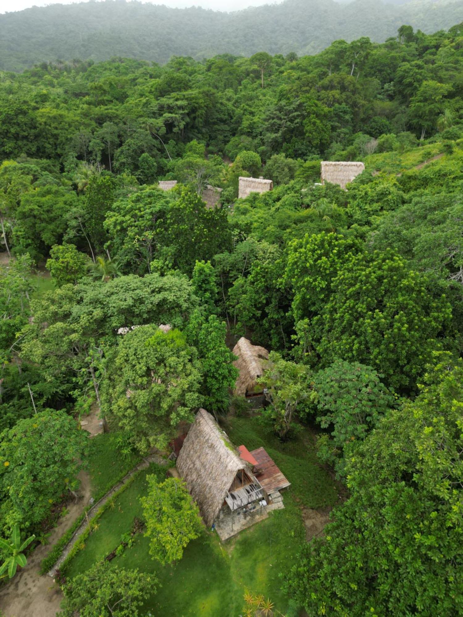 Tiny Houses Unique Tayrona - Dentro Del Parque Tayrona 엘 자이노 외부 사진