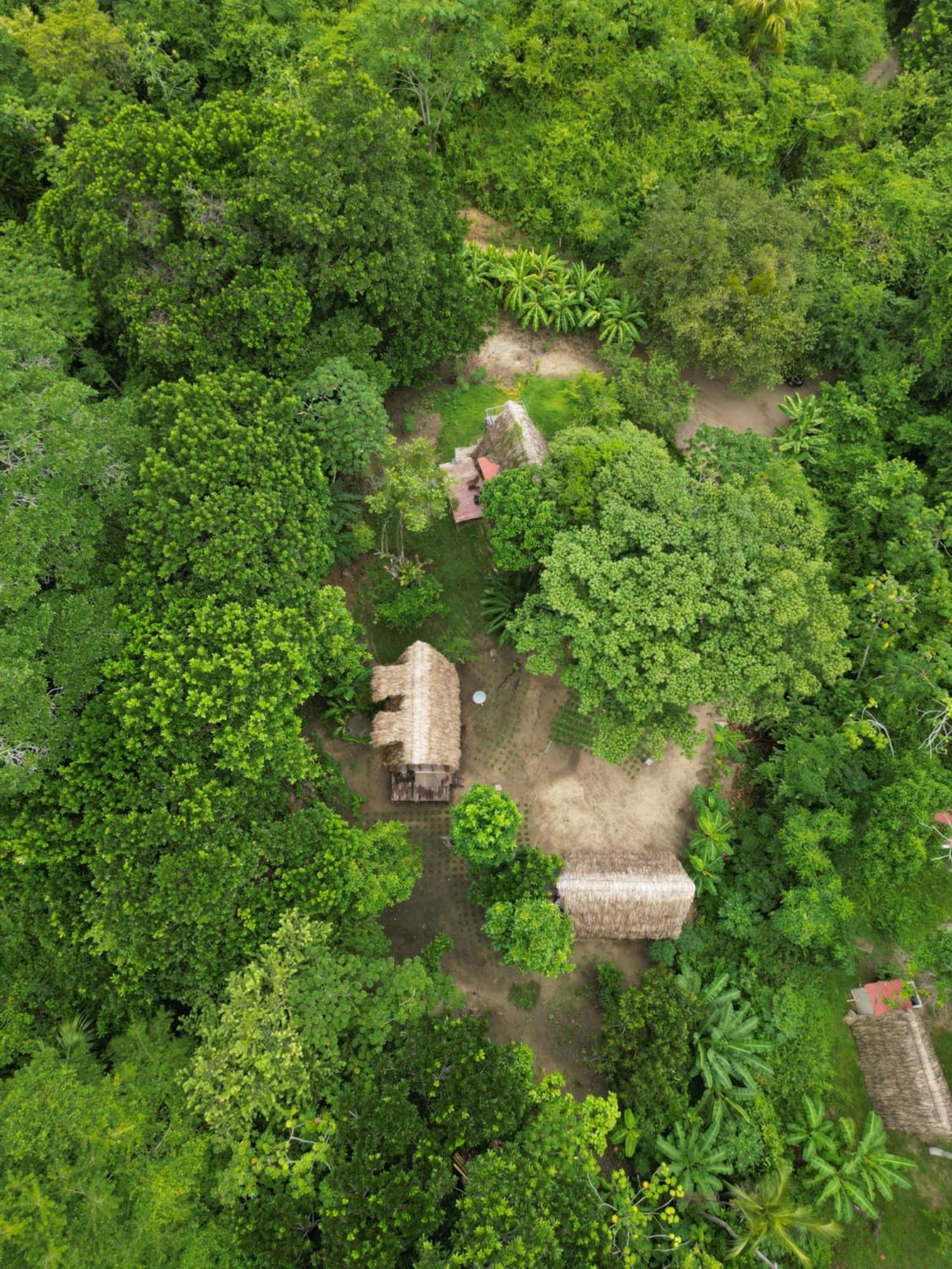 Tiny Houses Unique Tayrona - Dentro Del Parque Tayrona 엘 자이노 외부 사진