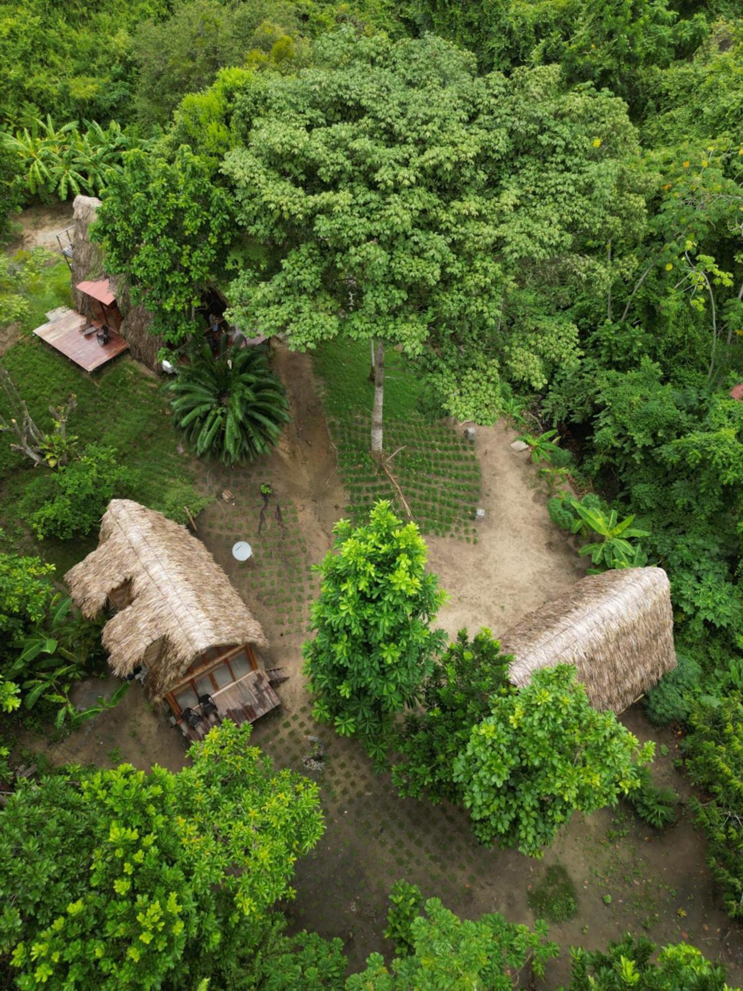 Tiny Houses Unique Tayrona - Dentro Del Parque Tayrona 엘 자이노 외부 사진