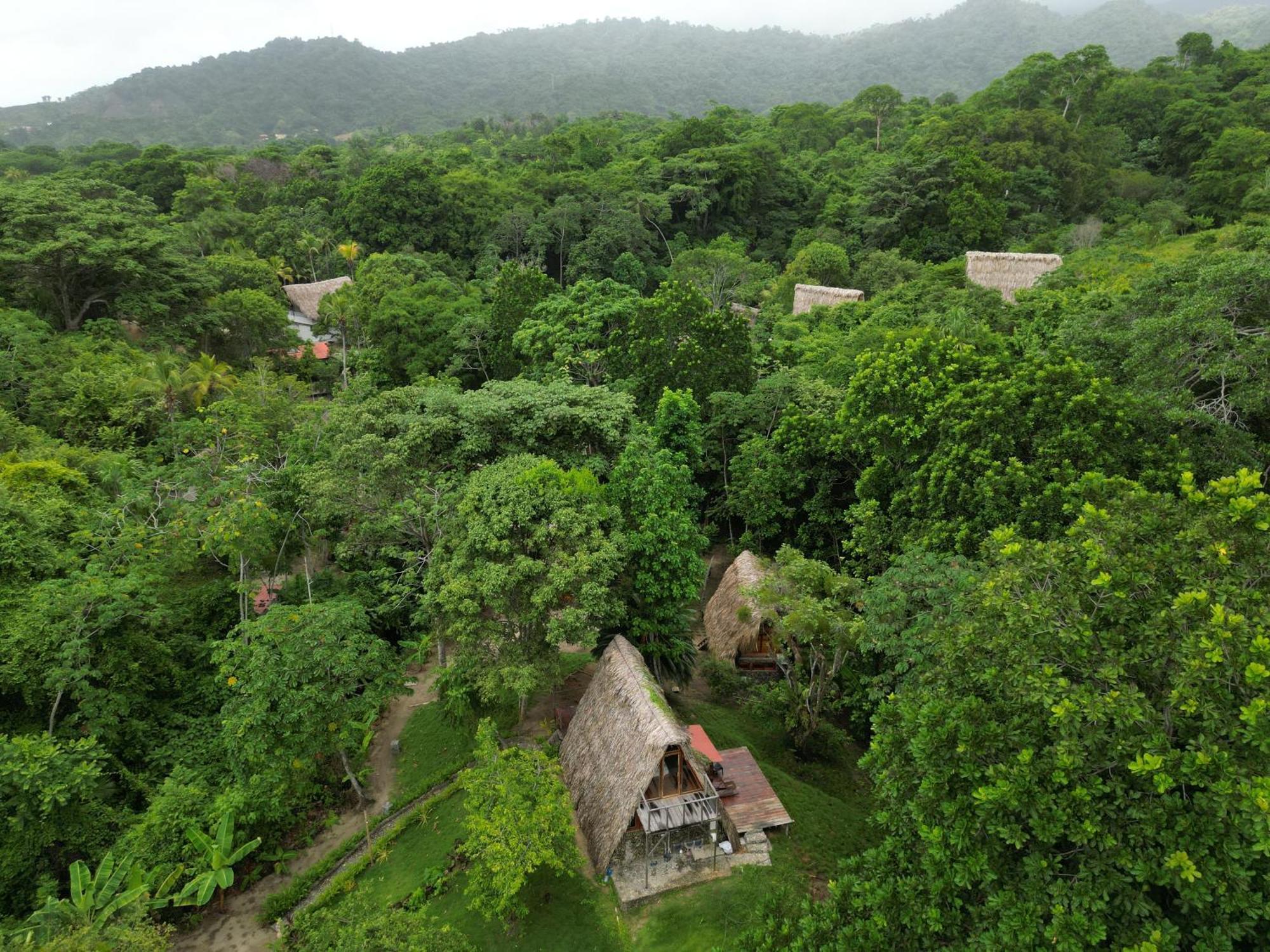 Tiny Houses Unique Tayrona - Dentro Del Parque Tayrona 엘 자이노 외부 사진