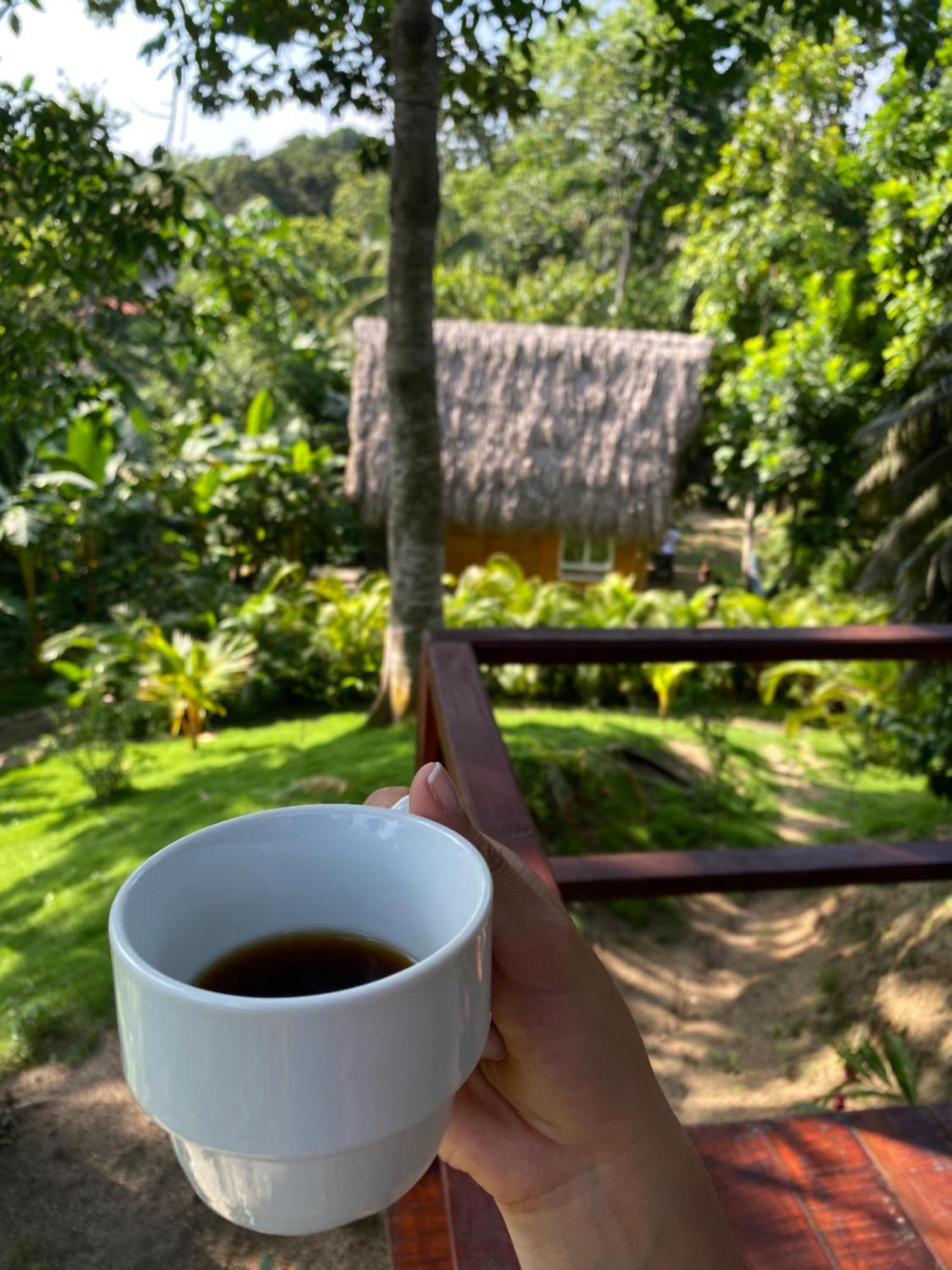Tiny Houses Unique Tayrona - Dentro Del Parque Tayrona 엘 자이노 외부 사진
