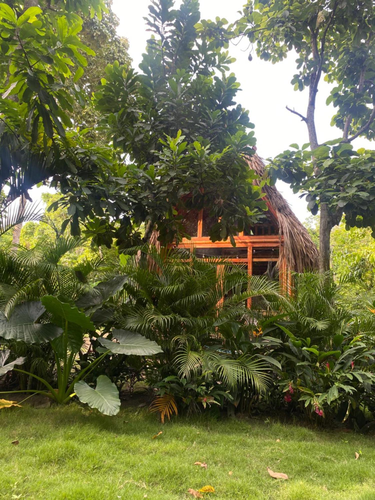 Tiny Houses Unique Tayrona - Dentro Del Parque Tayrona 엘 자이노 외부 사진